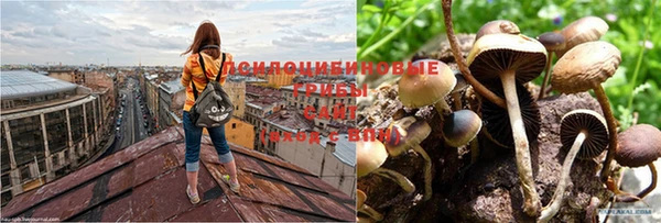 мескалин Лиски