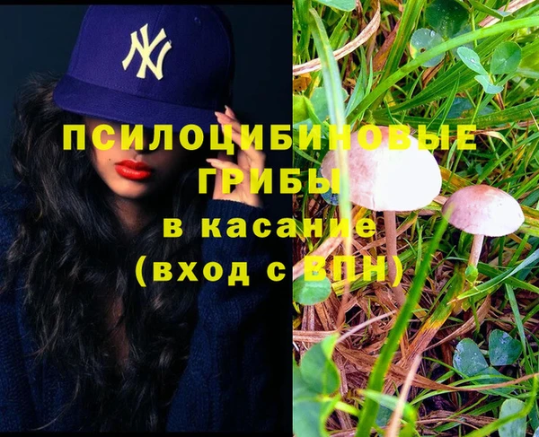 мяу мяу мука Лихославль