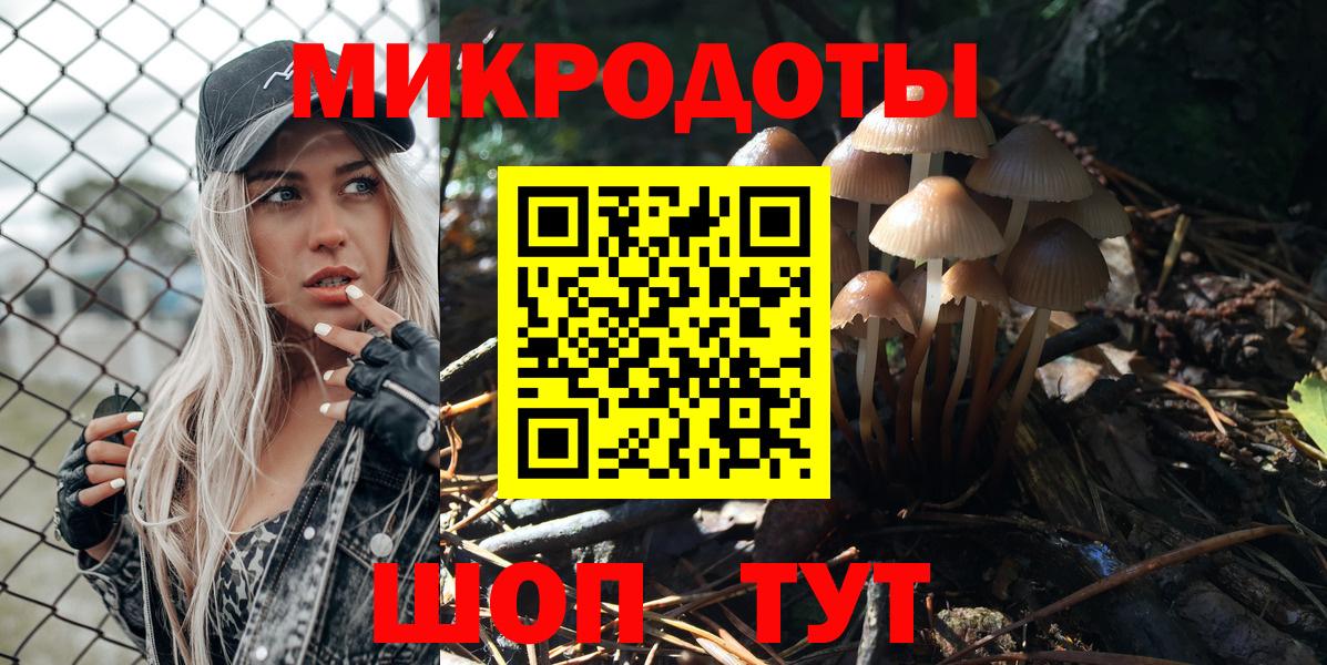 Галлюциногенные грибы Psilocybe  Лабытнанги 